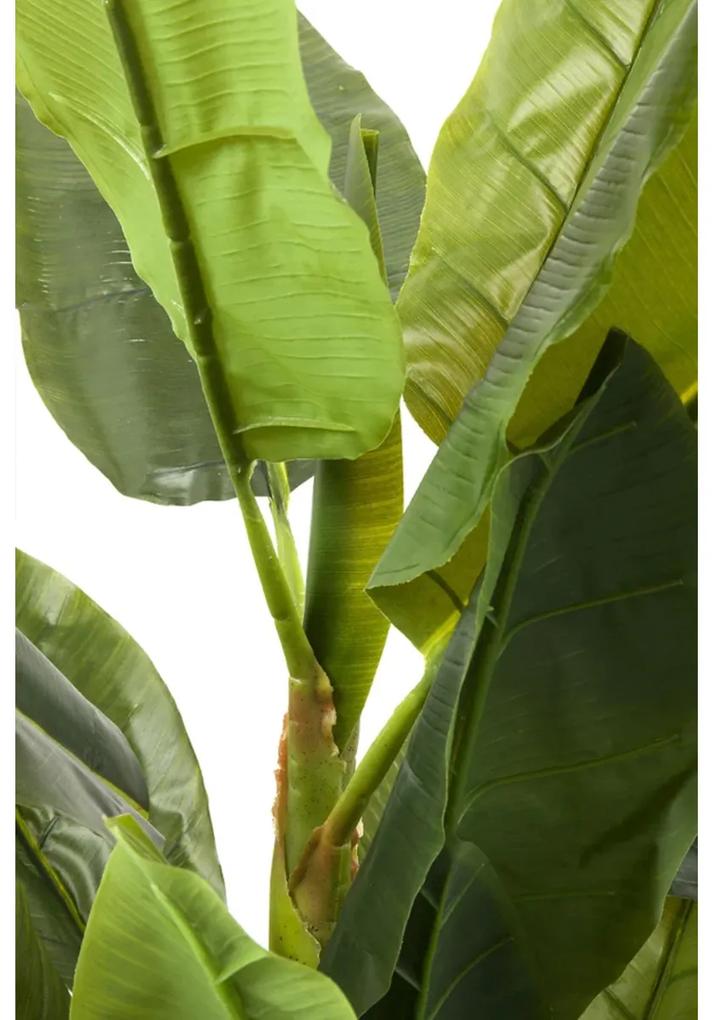 Kare Design Banana Tree Kunst Bananenplant