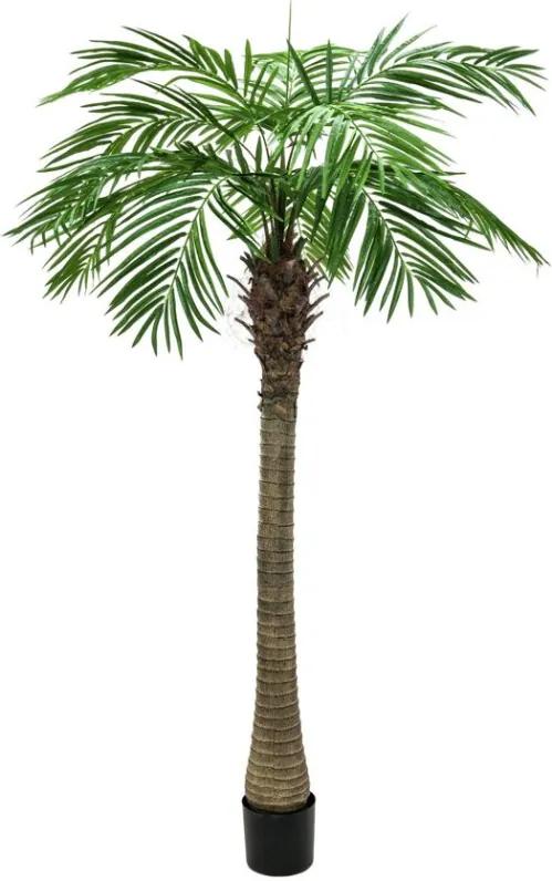 Phoenix palmboom luxor 210cm