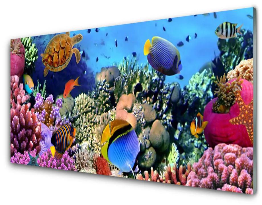 Glazen schilderij Barrier reef nature 100x50 cm