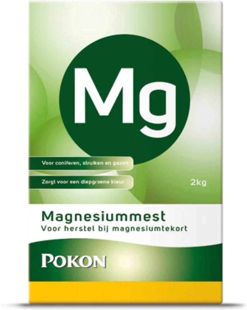 Magnesiummest