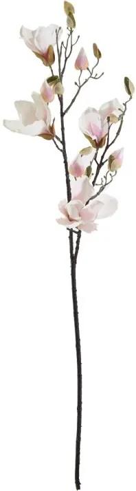 Magnolia Wit - Roze 90 cm