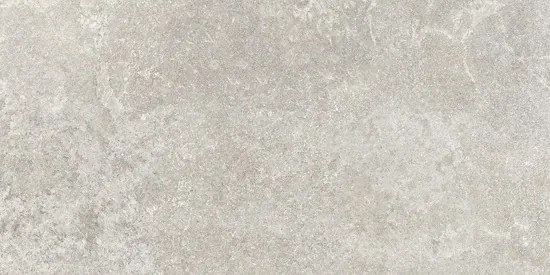 Valence Panillo vloertegel 60x120cm grijs gerectificeerd