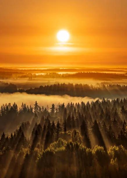 Kunstfotografie Golden beautiful foggy forest sunbeams, Aulanko,, Milamai, (30 x 40 cm)