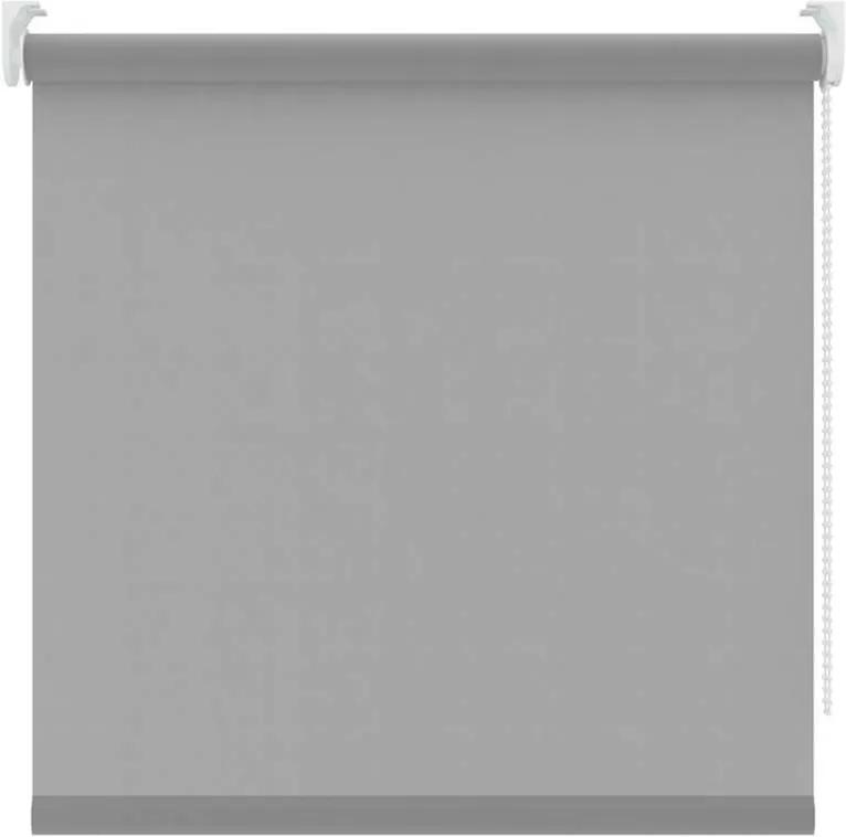 Rolgordijn lichtdoorlatend - lichtgrijs - 150x250 cm - Leen Bakker