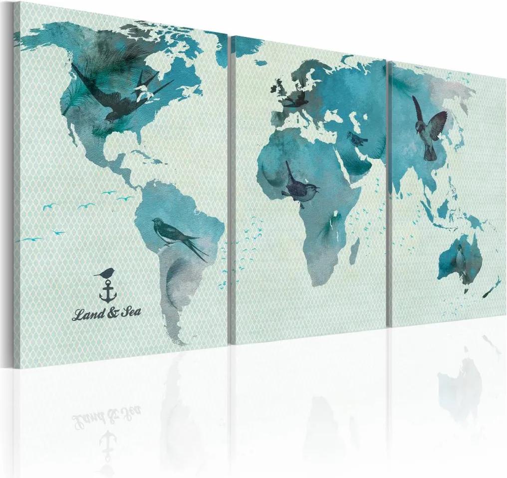 Schilderij - Wereldkaart - Ornithologische Kaart, Blauw, 3luik