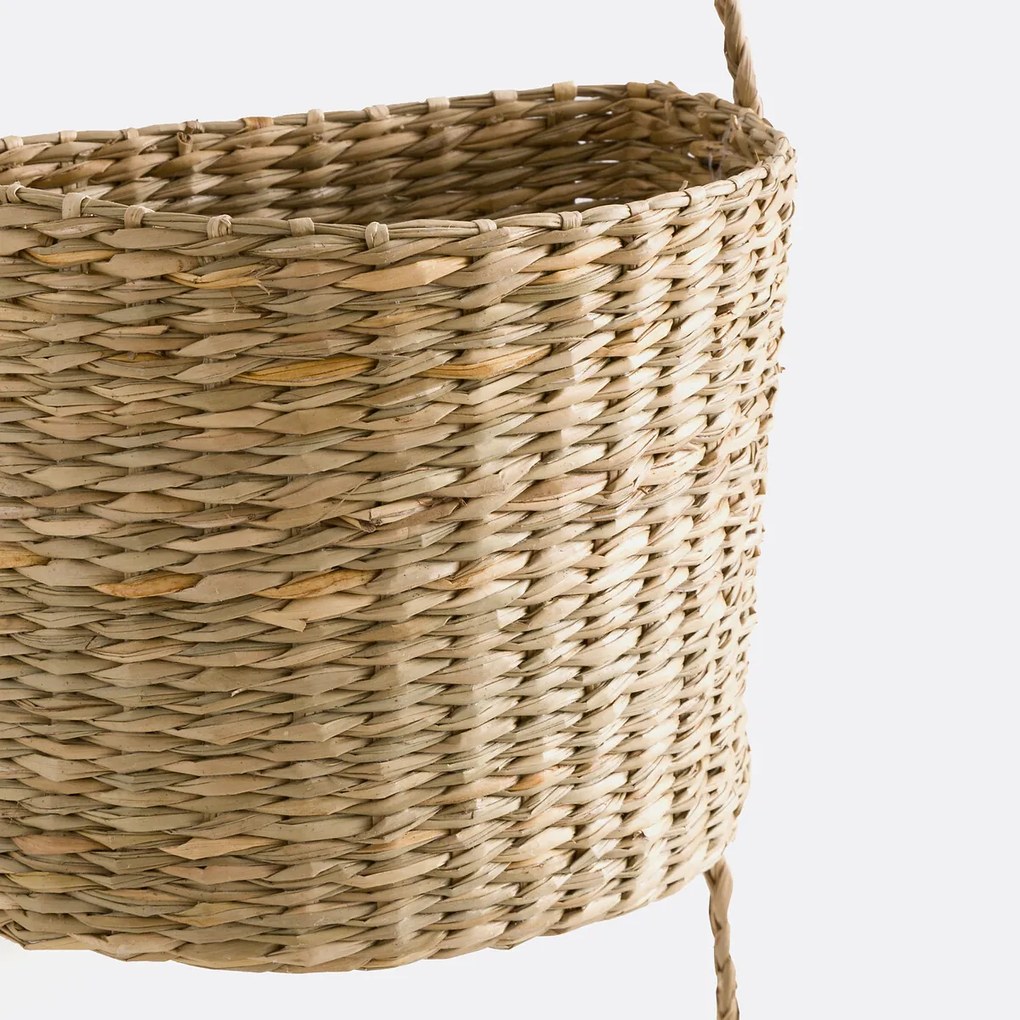 Hangende mandjes in herbarium, Cesta