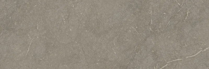 Jabo Munich Taupe wandtegel 40x120cm gerectificeerd