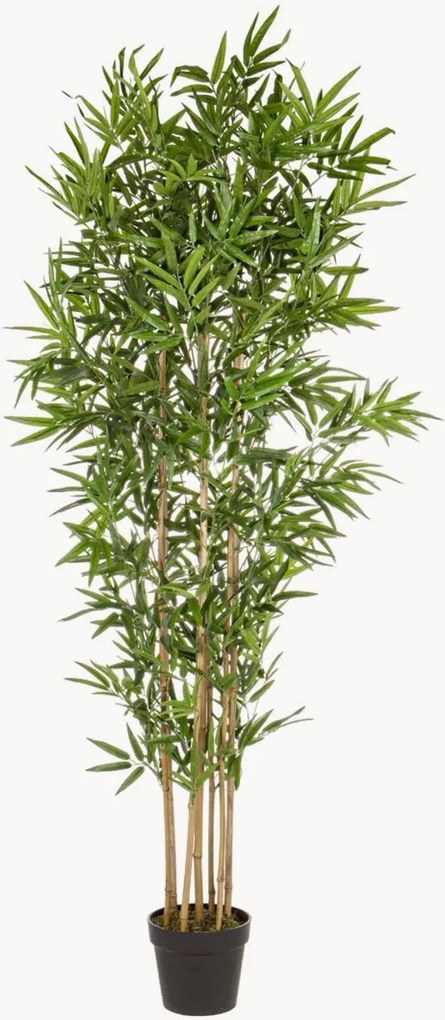 Kunstplanten Bamboo II, 2-delig