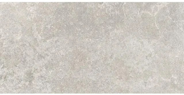 Colorker Bella Stone Vloertegel - 59.5x119.2cm - 8.0mm - gerectificeerd - Greige 2048026