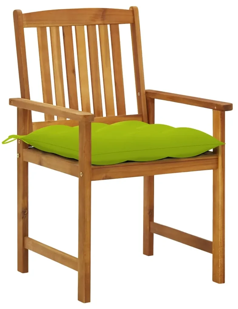 vidaXL Tuinstoelen 2 st met kussens massief acaciahout