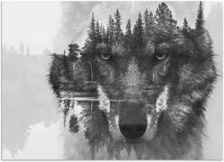 HOME AFFAIRE artprint achter acrylglas, »Wolf«, 60x40 cm