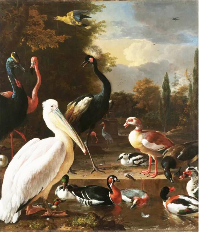 Canvasschilderij Pelikanen Multi