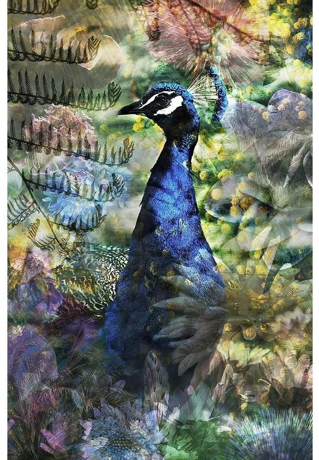 Goossens Schilderij Proud Peacock, 148 x 98 cm