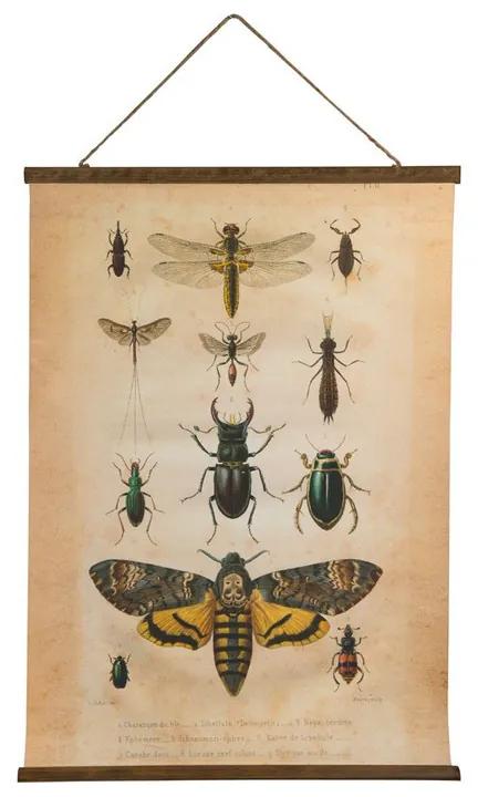Vintage poster - insecten - 50x70 cm