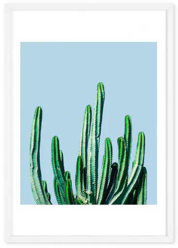 Cactus, 65 x 90 cm (A1),ingelijste print