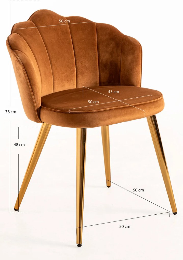 Blume Goud Fluwelen Stoel