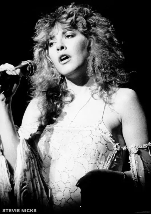 Poster Stevie Nicks - live