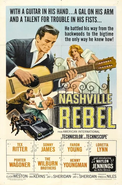 Ilustratie Nashville Rebel