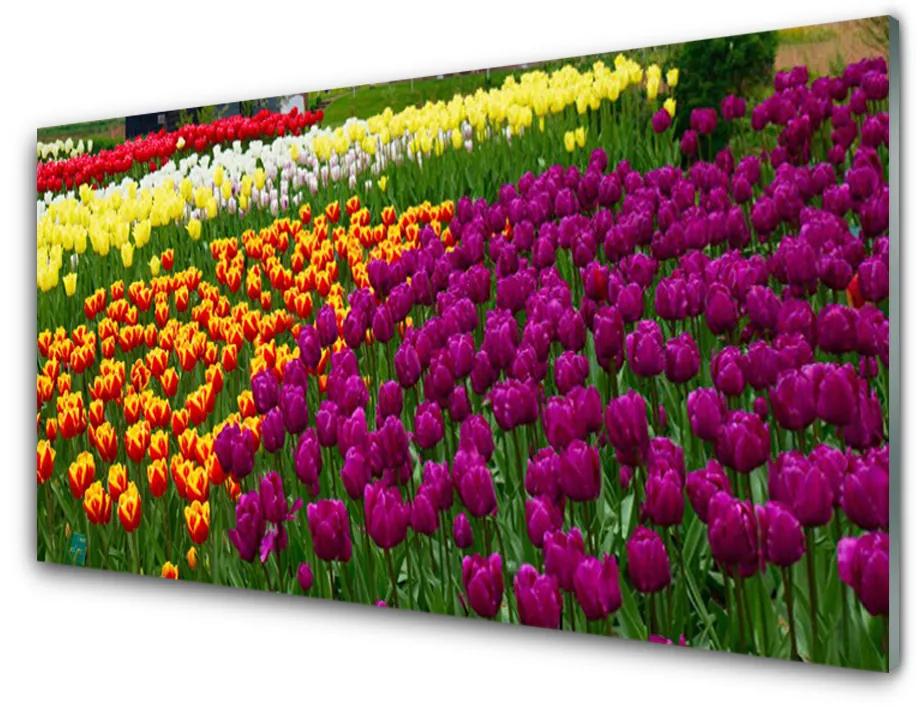 Plexiglas foto Tulpen bloemen 100x50 cm