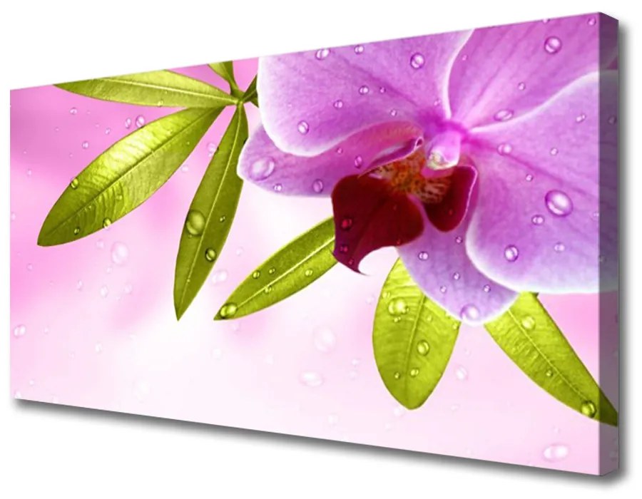 Schilderij op canvas Flower plant leaves 100x50 cm