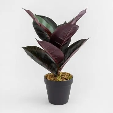Decoratieve Kunstplant Ruber 40 cm ↑40 cm - Sklum