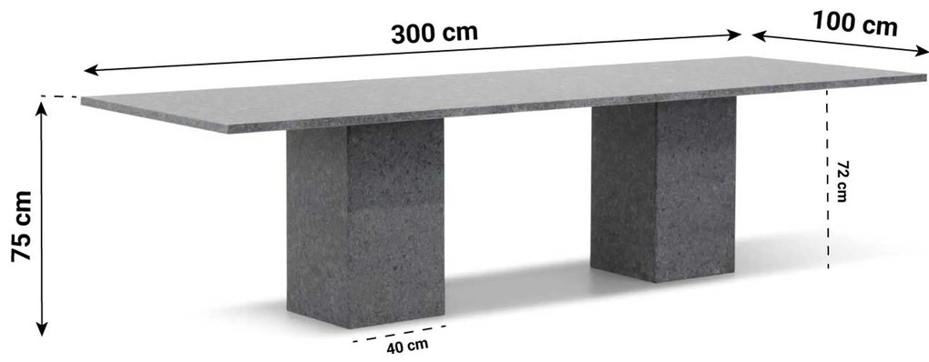 Dining Tuintafel rechthoekig 300 x 100 cm Graniet Grijs