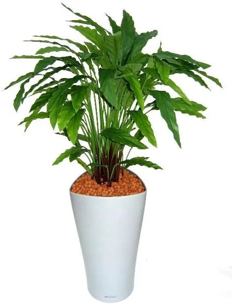 Calathea groen 85 cm kunstplant