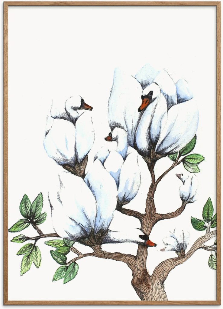 Ingelijste poster Swan Magnolia van eikenhout