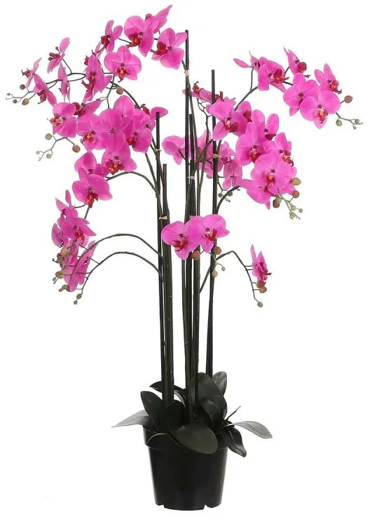 Orchidee in plastic pot paars maat in cm: 35 x 35 x 117