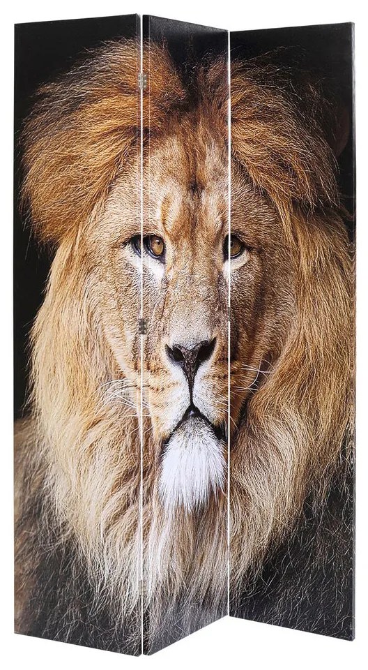 Kare Design King Lion Vs Cat Girl Kamerscherm Dubbelzijdig Schilderij