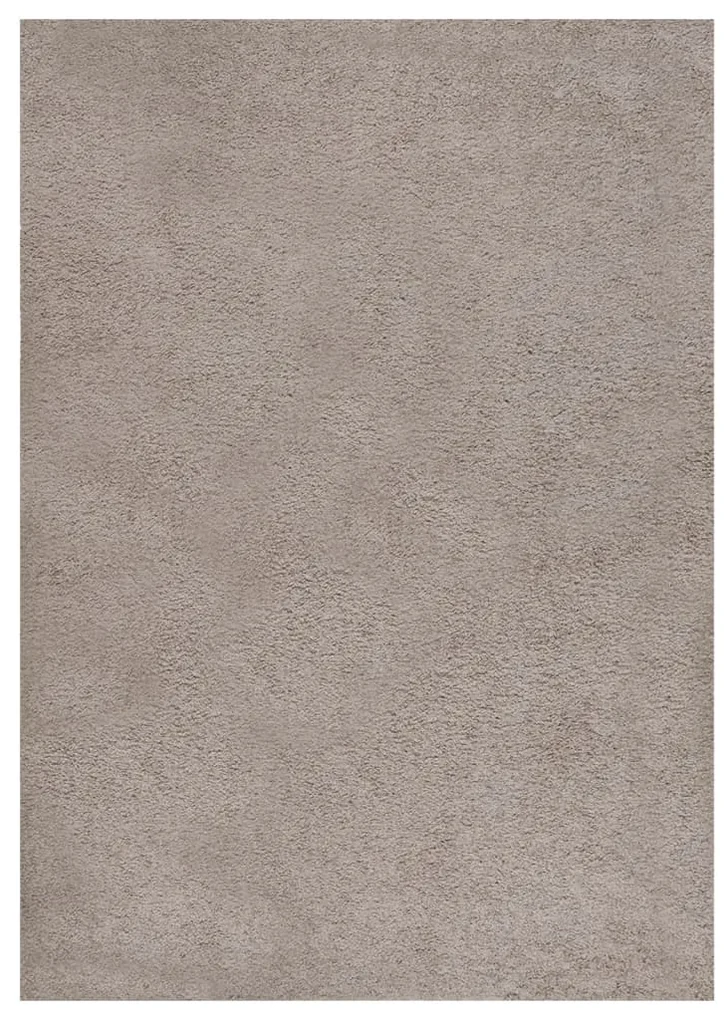 vidaXL Vloerkleed shaggy hoogpolig 120x170 cm beige
