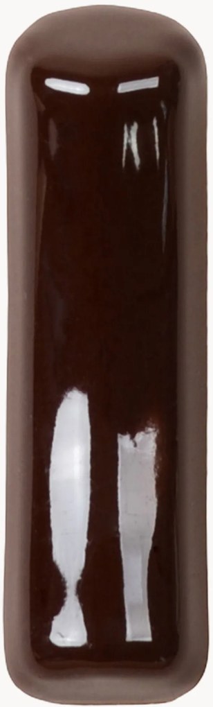 Wandhaak Fossil