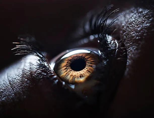 Foto The Human Eye., Ben Welsh, (40 x 30 cm)