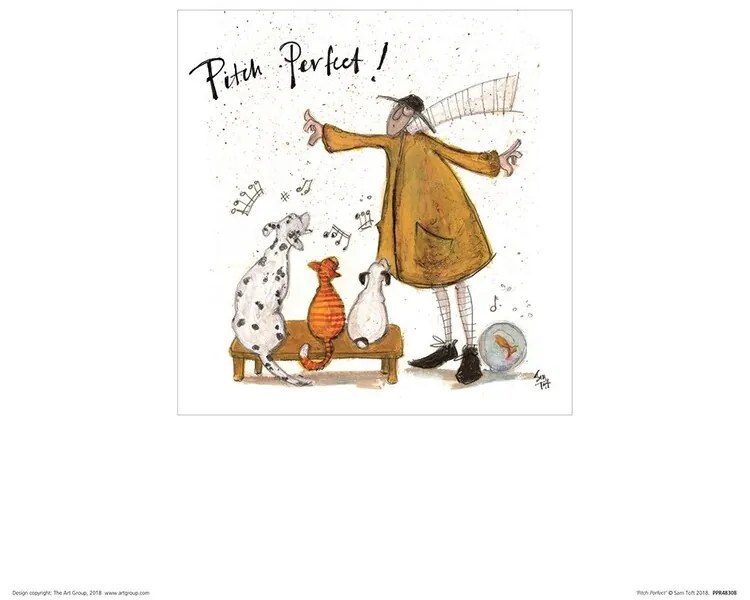 Kunstdruk Sam Toft - Pitch Perfect