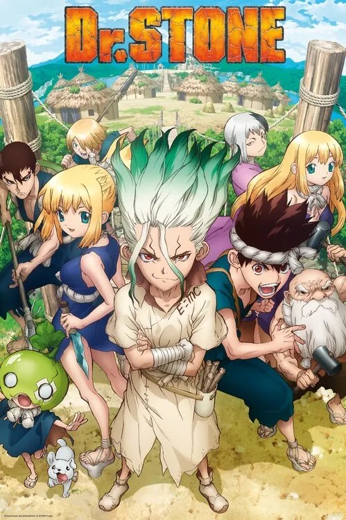 Poster DR. Stone - Group