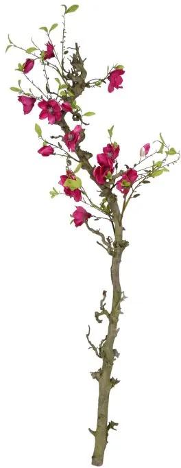 Bloemen tak Magnolia Fuchsia