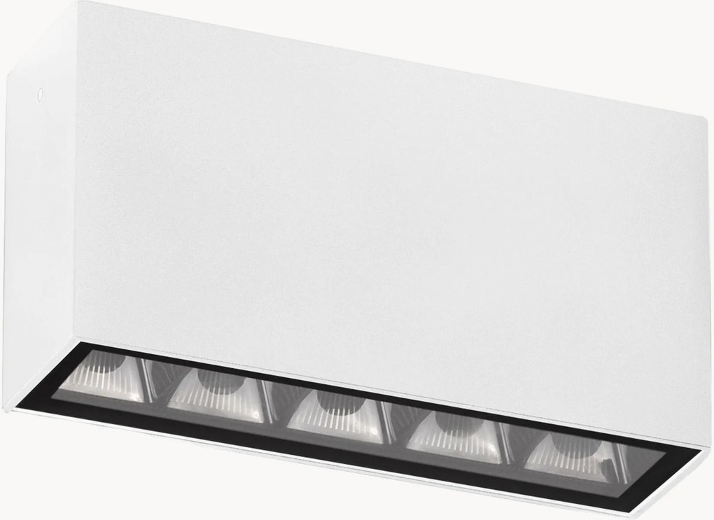 Outdoor LED plafondlamp Jax