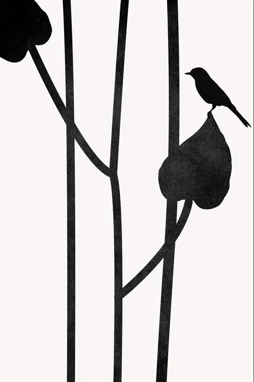 Ilustratie The Bird, Kubistika, (26.7 x 40 cm)