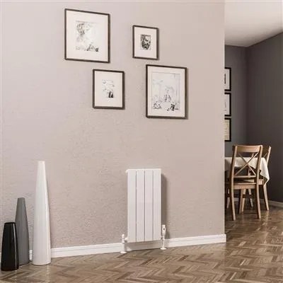 Eastbrook Addington type 10 radiator 30x60cm 281W staal wit glans