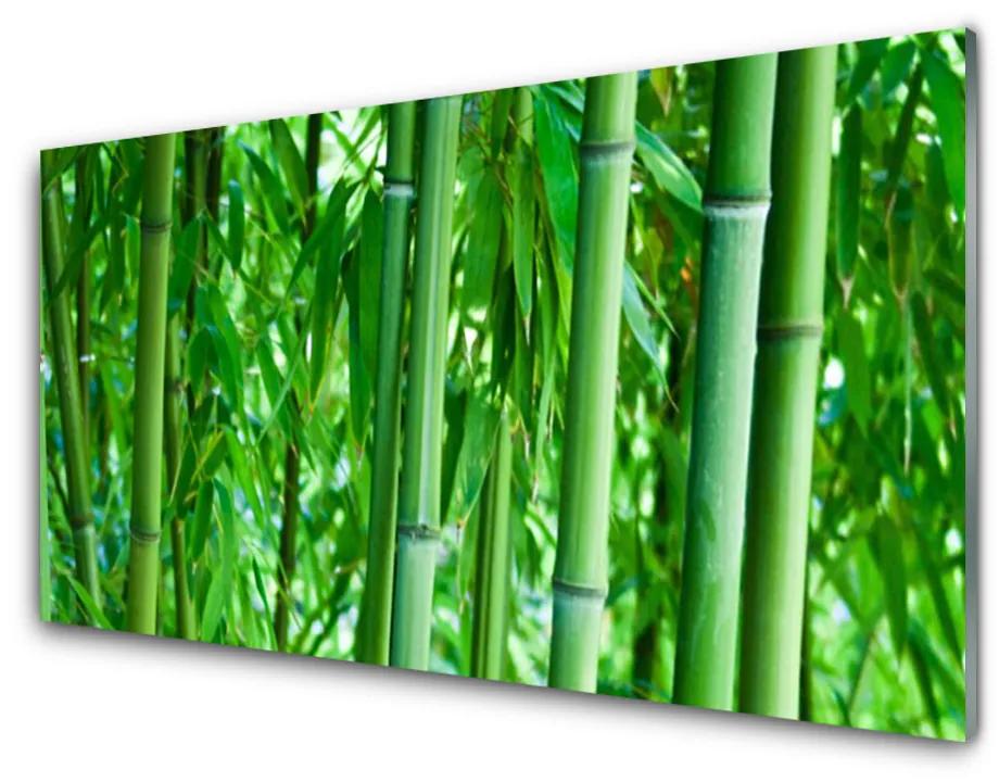 Glazen schilderij Bamboo stengelplant 100x50 cm