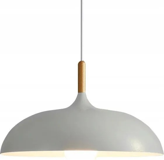 ANZO grijze plafondlamp