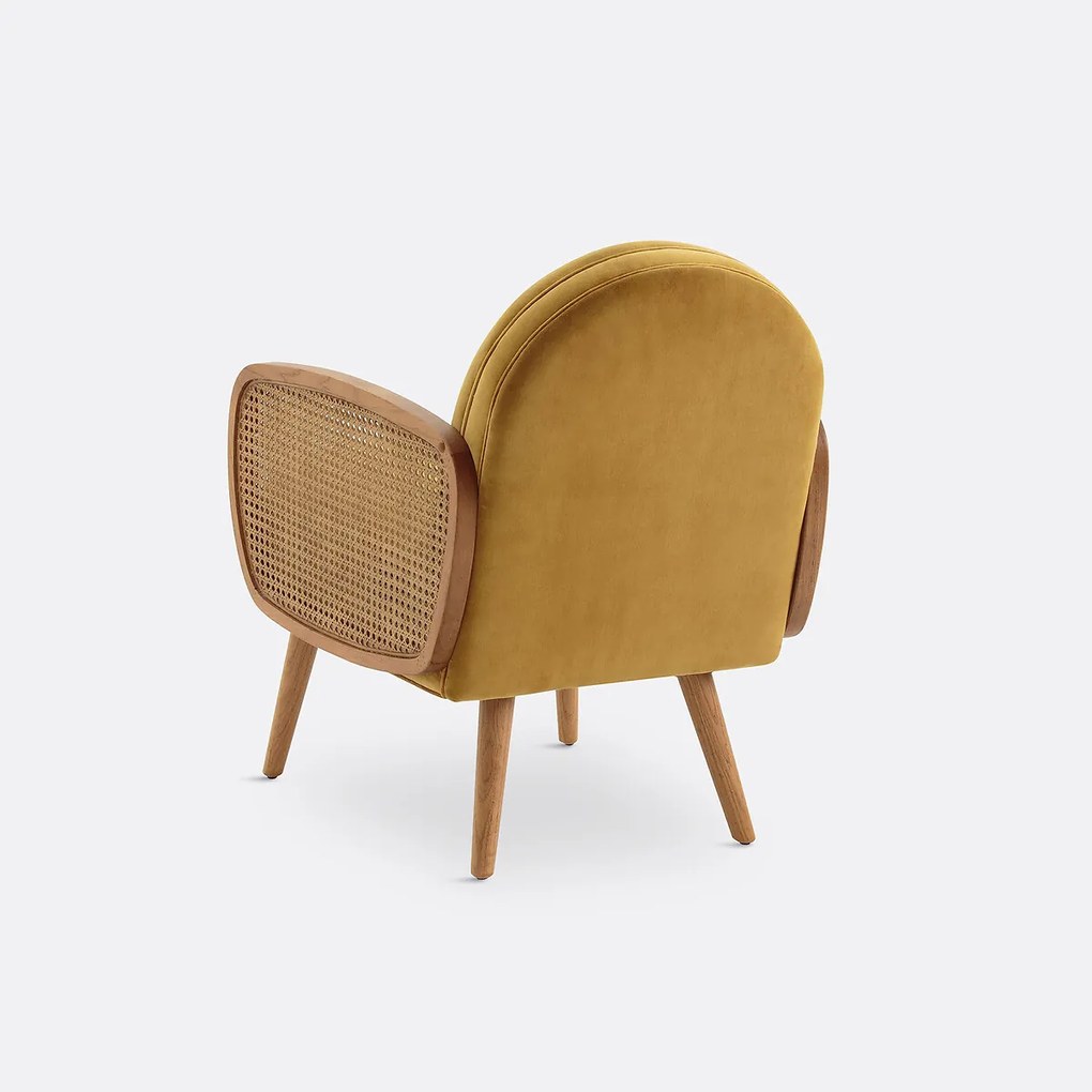 Fauteuil fluweel, Buisseau