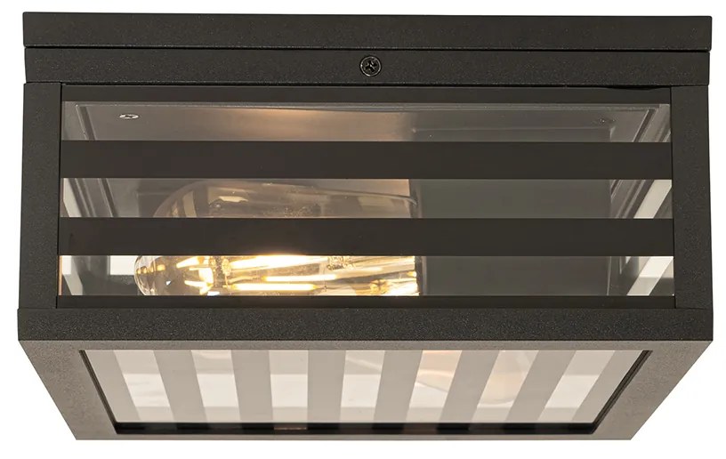 Moderne buiten plafondlamp zwart glas 2-lichts IP44 - Reims