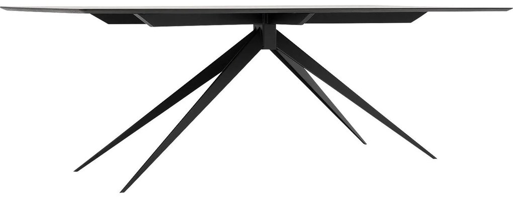 Goossens Excellent Eettafel Uniek, Rechthoekig 240 x 100 cm