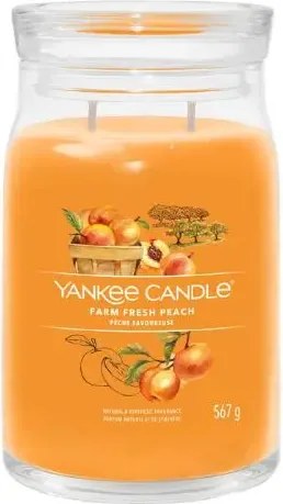 Yankee Candle geurkaars - Farm Fresh Peach - Signature Large Jar