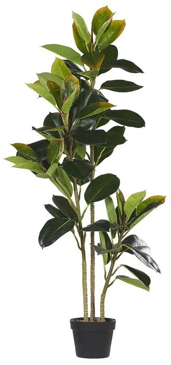 Kunstplant FICUS ELASTICA Beliani