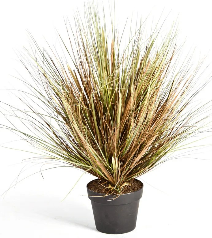 Kunstgras Onion Herfst - 50 cm