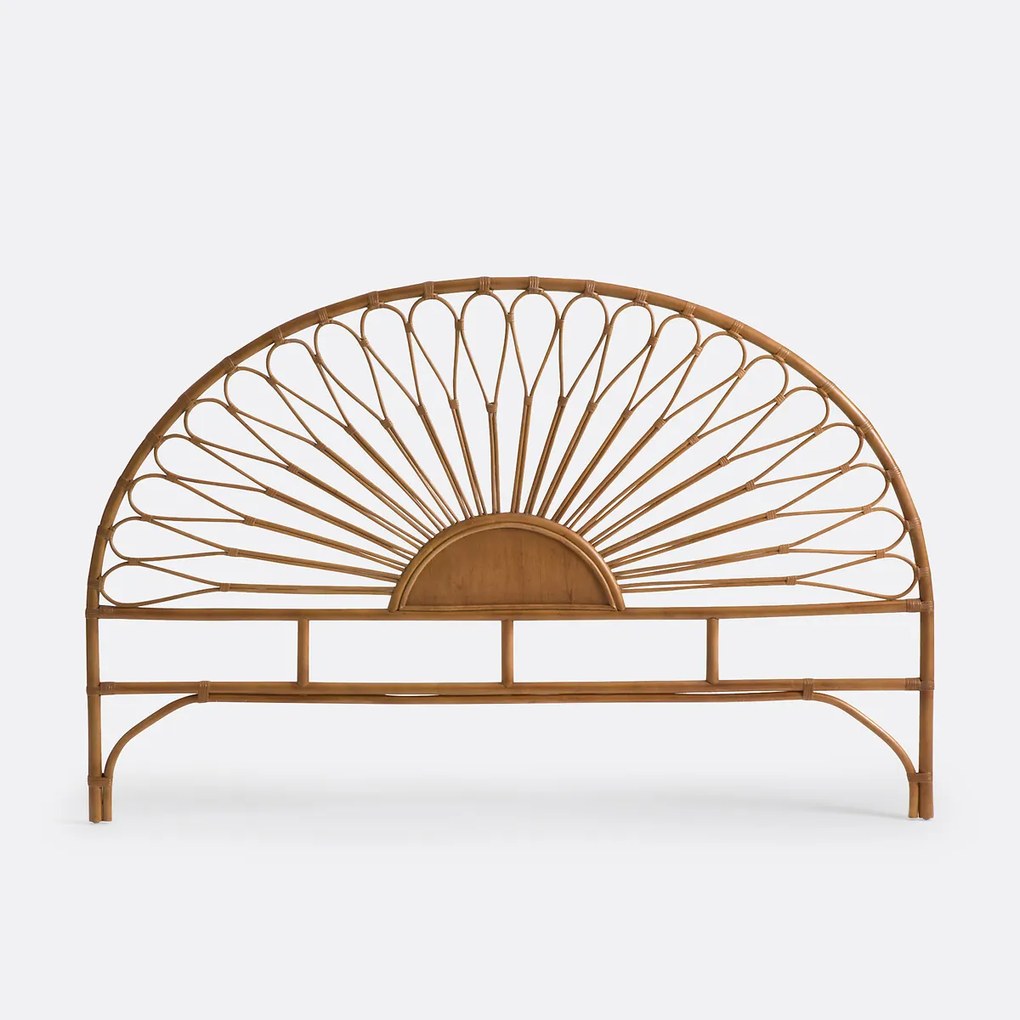Rotan hoofdbord, TIO