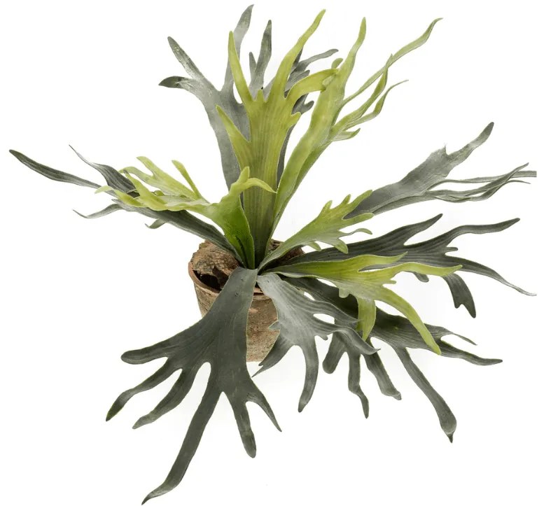 Varen Staghorn Kunstplant - 75 cm