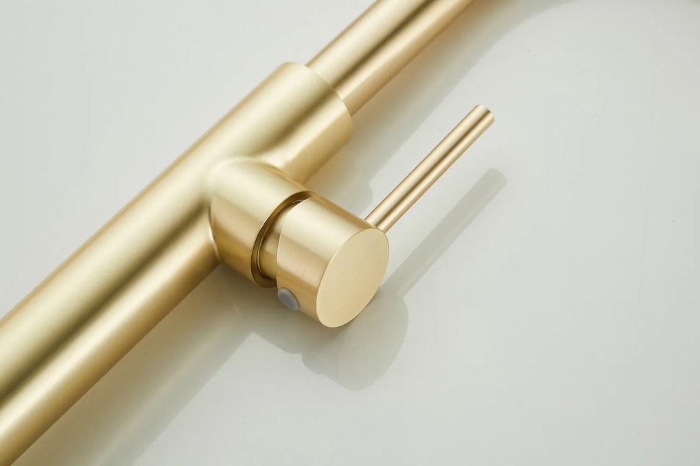 Saniclear Highriser hoge wastafelkraan met gebogen uitloop geborsteld messing - mat goud